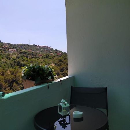 Ca' Isabella Apartment Vallebona ภายนอก รูปภาพ